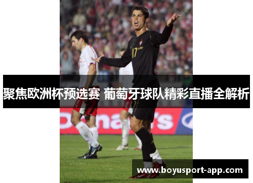 聚焦欧洲杯预选赛 葡萄牙球队精彩直播全解析