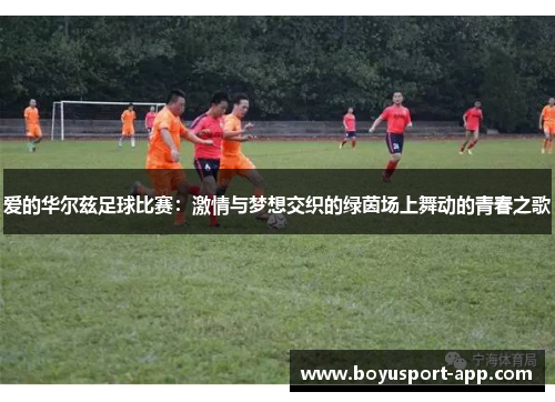 爱的华尔兹足球比赛:激情与梦想交织的绿茵场上舞动的青春之歌 爱的华尔兹足球比赛:激情与梦想交织的绿茵场上舞动的青春之歌